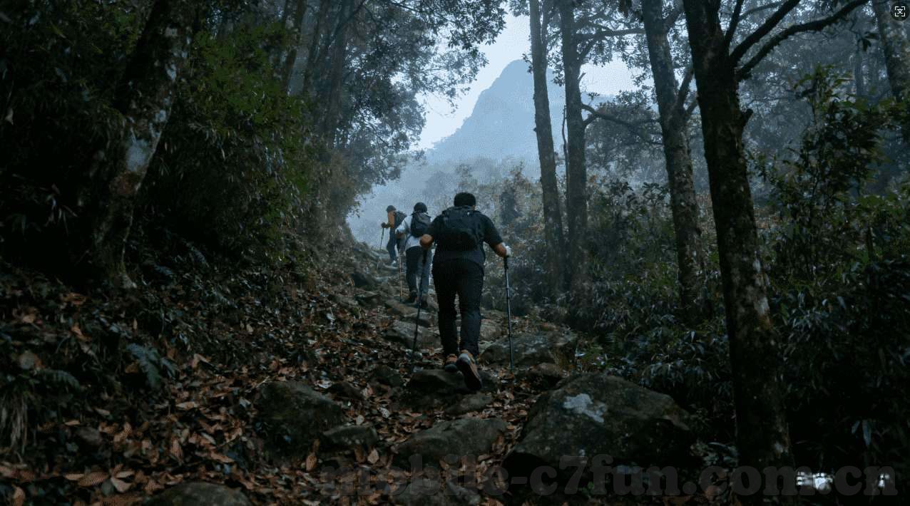 mk体育在线下载-MK体育在线下载，便捷体验与安全风险的平衡