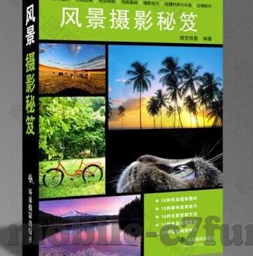 星空和星空体育区别-星空与星空体育，两种视角下的无限探索与激情释放