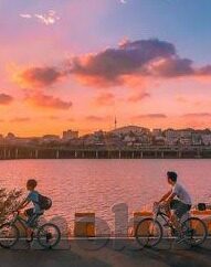 足球比分网即时比分了-足球比分网即时比分，球迷的实时战场与数字狂欢